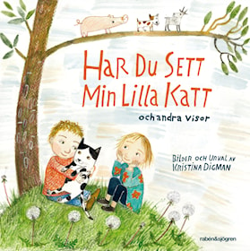 Har du sett min lilla katt?