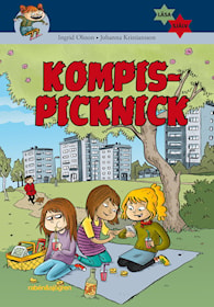 Kompispicknick