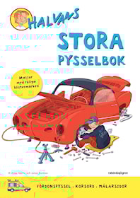 Halvans stora pysselbok