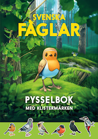 Svenska fåglar pysselbok