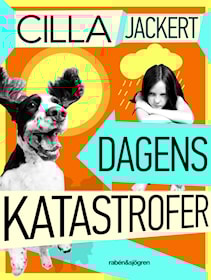 Dagens katastrofer