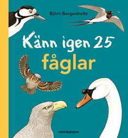 Känn igen 25 fåglar