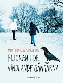 Flickan i de vindlande gångarna