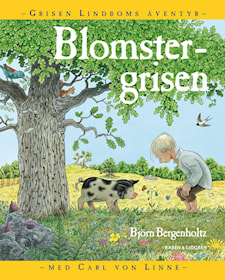 Blomstergrisen