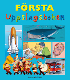 Första uppslagsboken