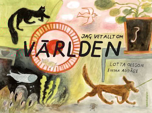 Jag vet allt om världen