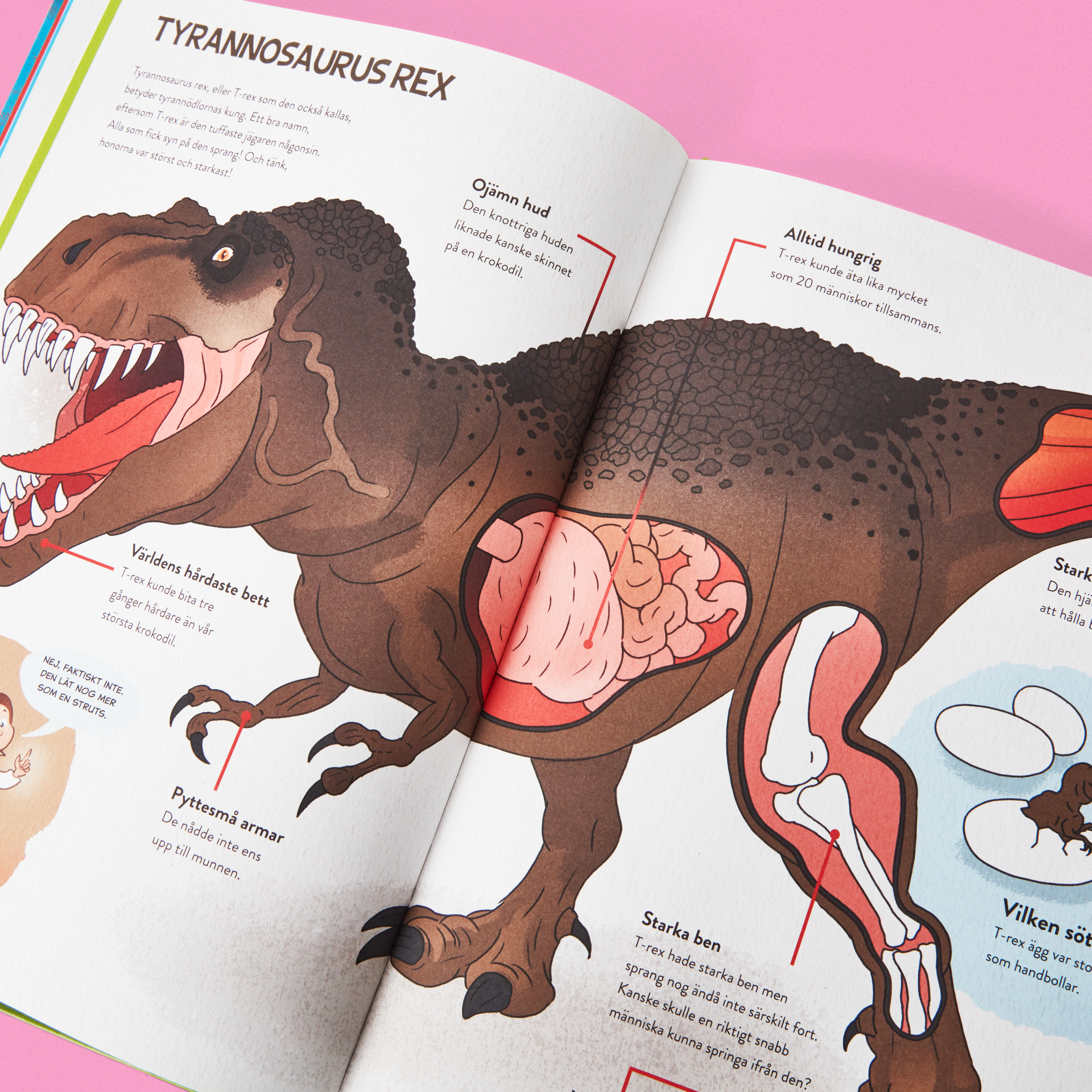 tuffa_dinosaurier 3.jpg