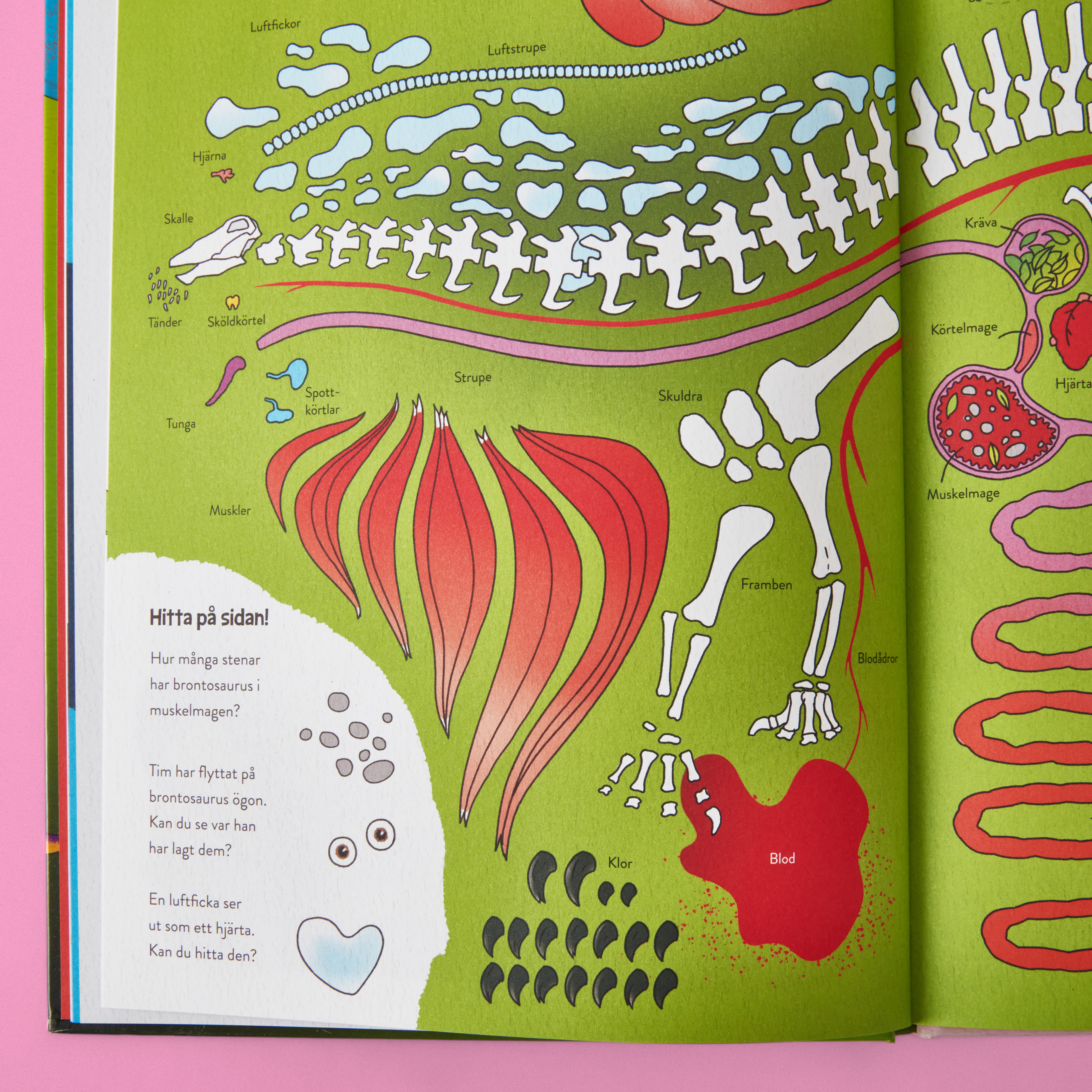 tuffa_dinosaurier 2.jpg