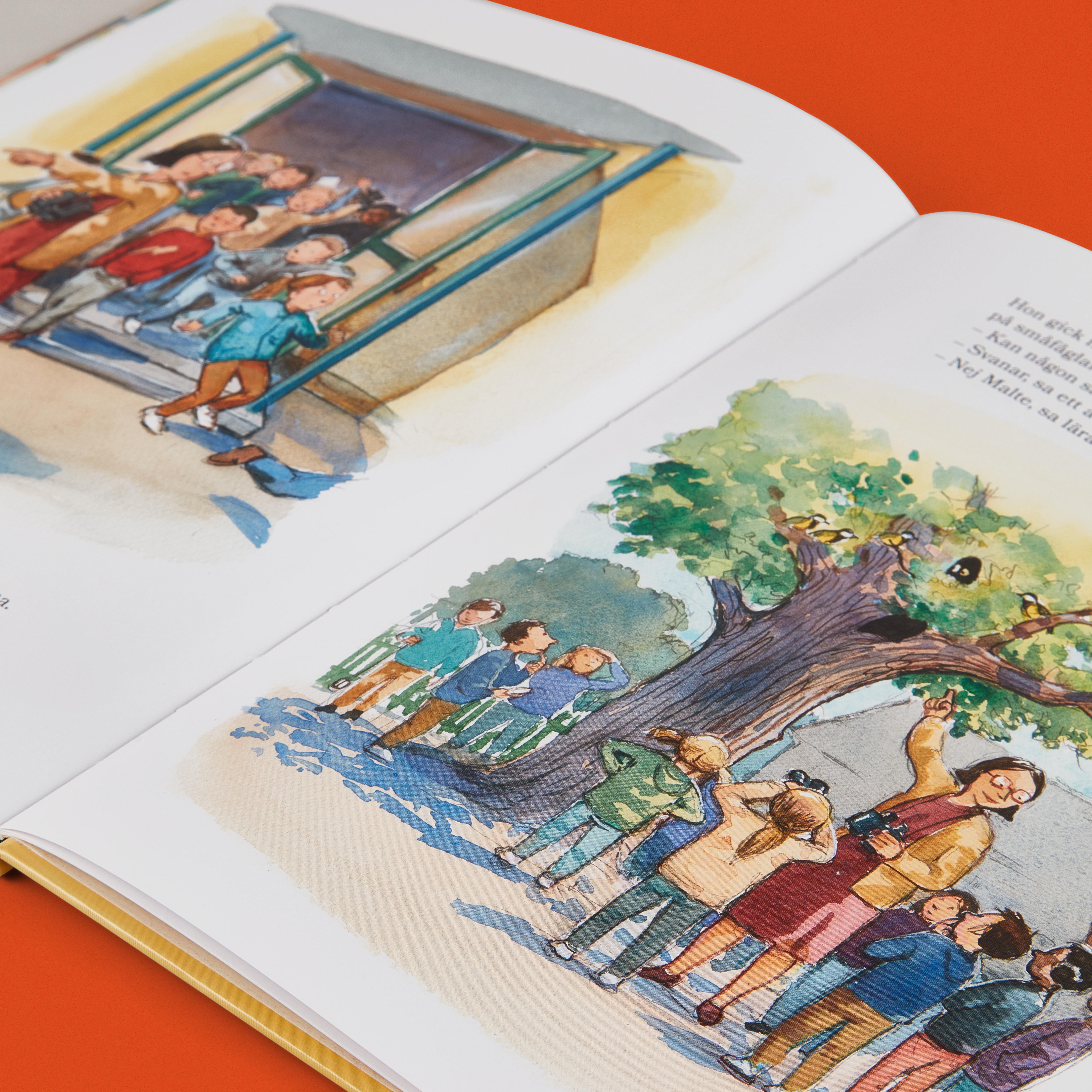 Dagspöket_i_skolan_angle3 1.jpg