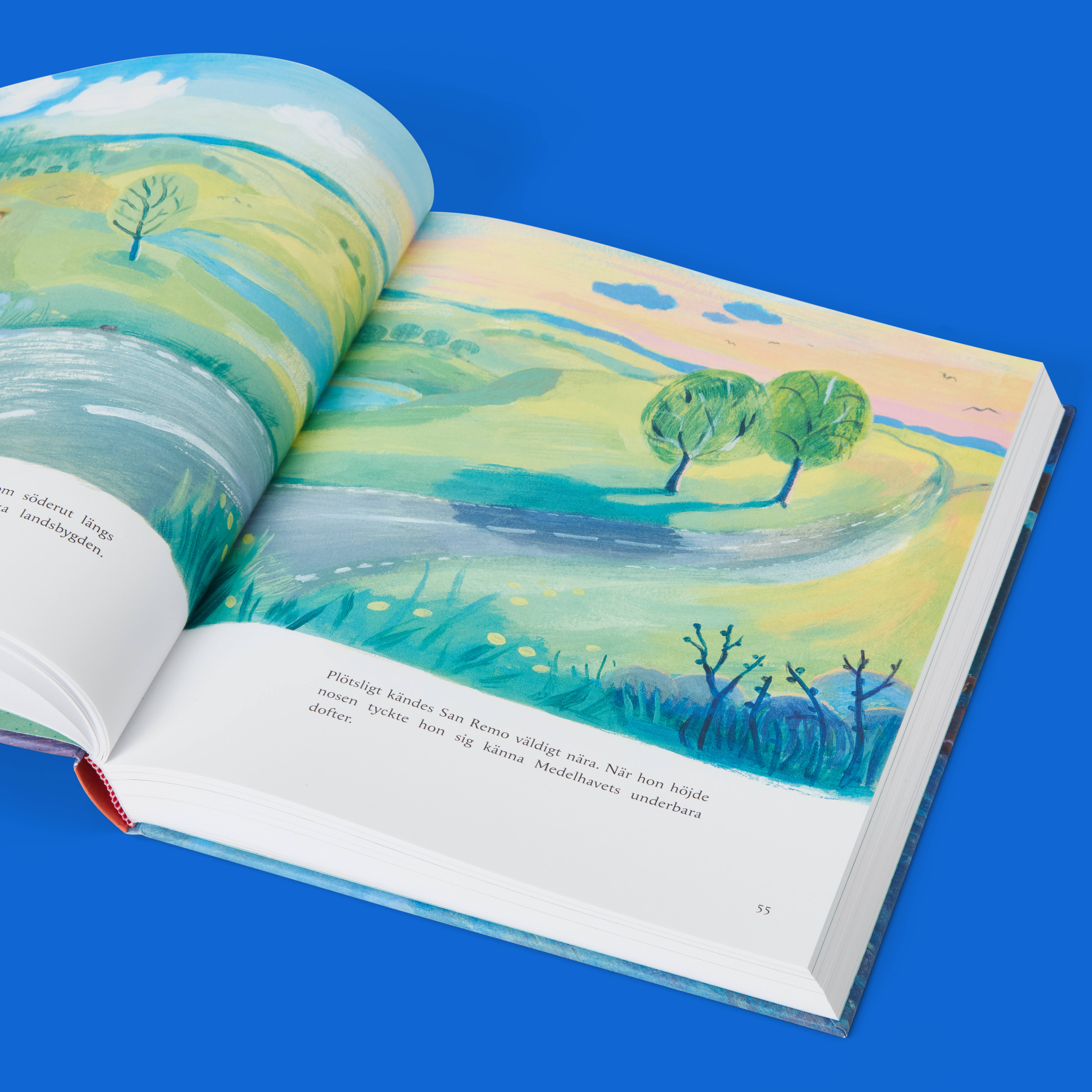 C1 - Raben Sjögren4243.jpg