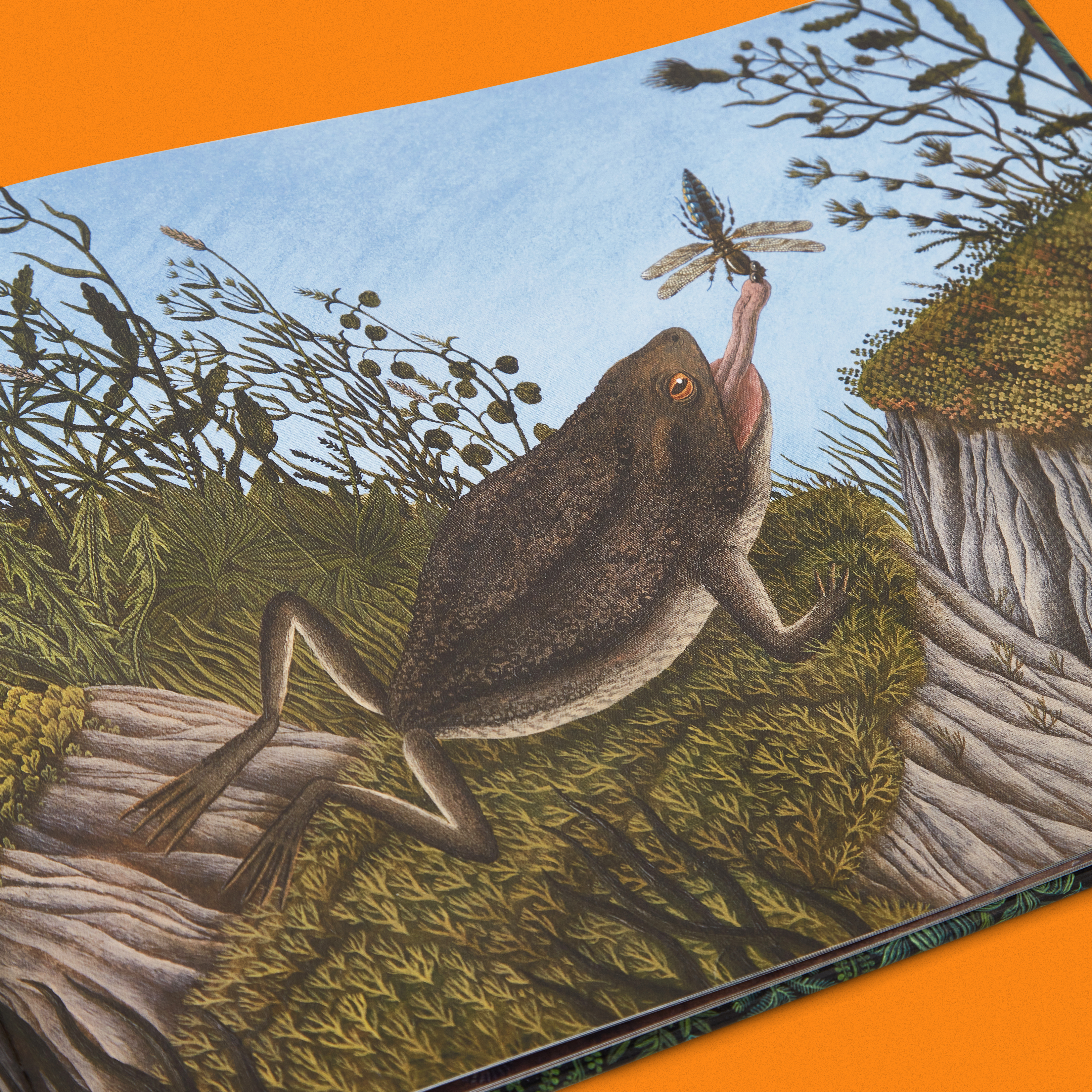 Alla_äter_alla_ 12.jpg