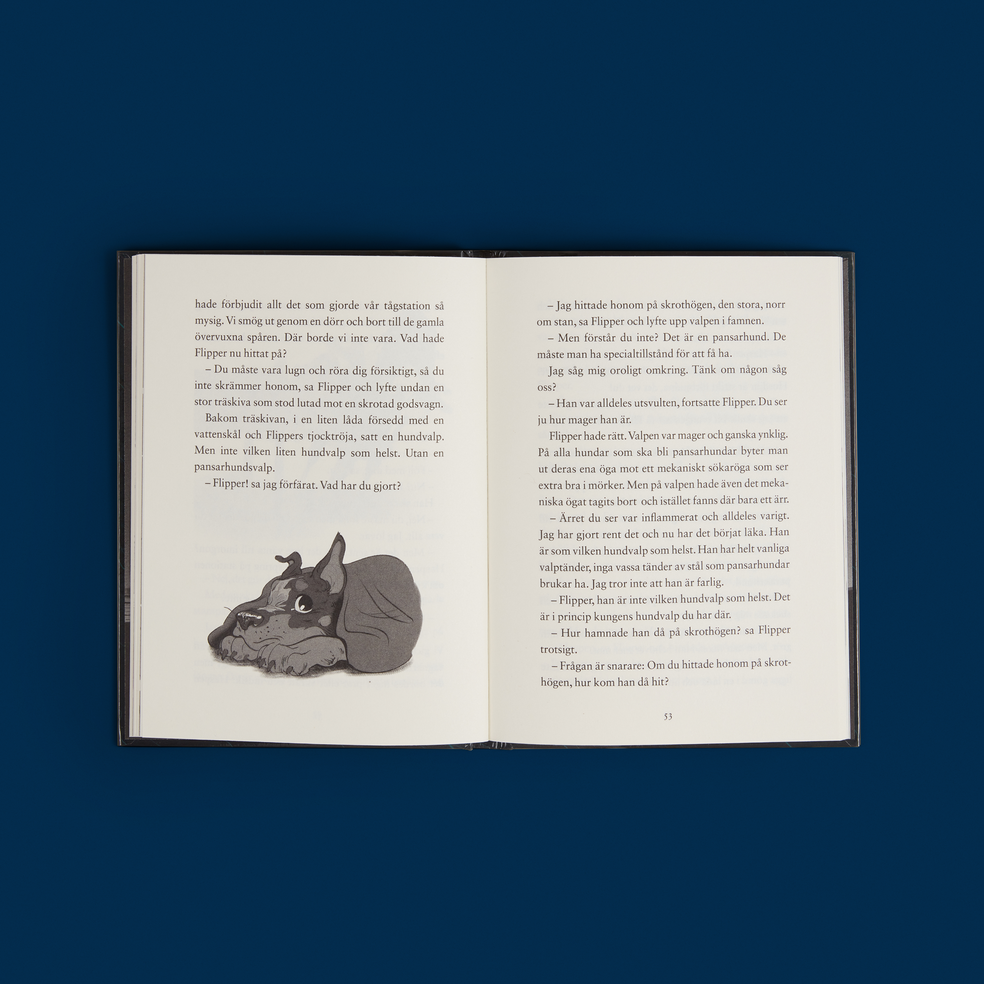 flora wolf och stjärntjuven 3.jpg