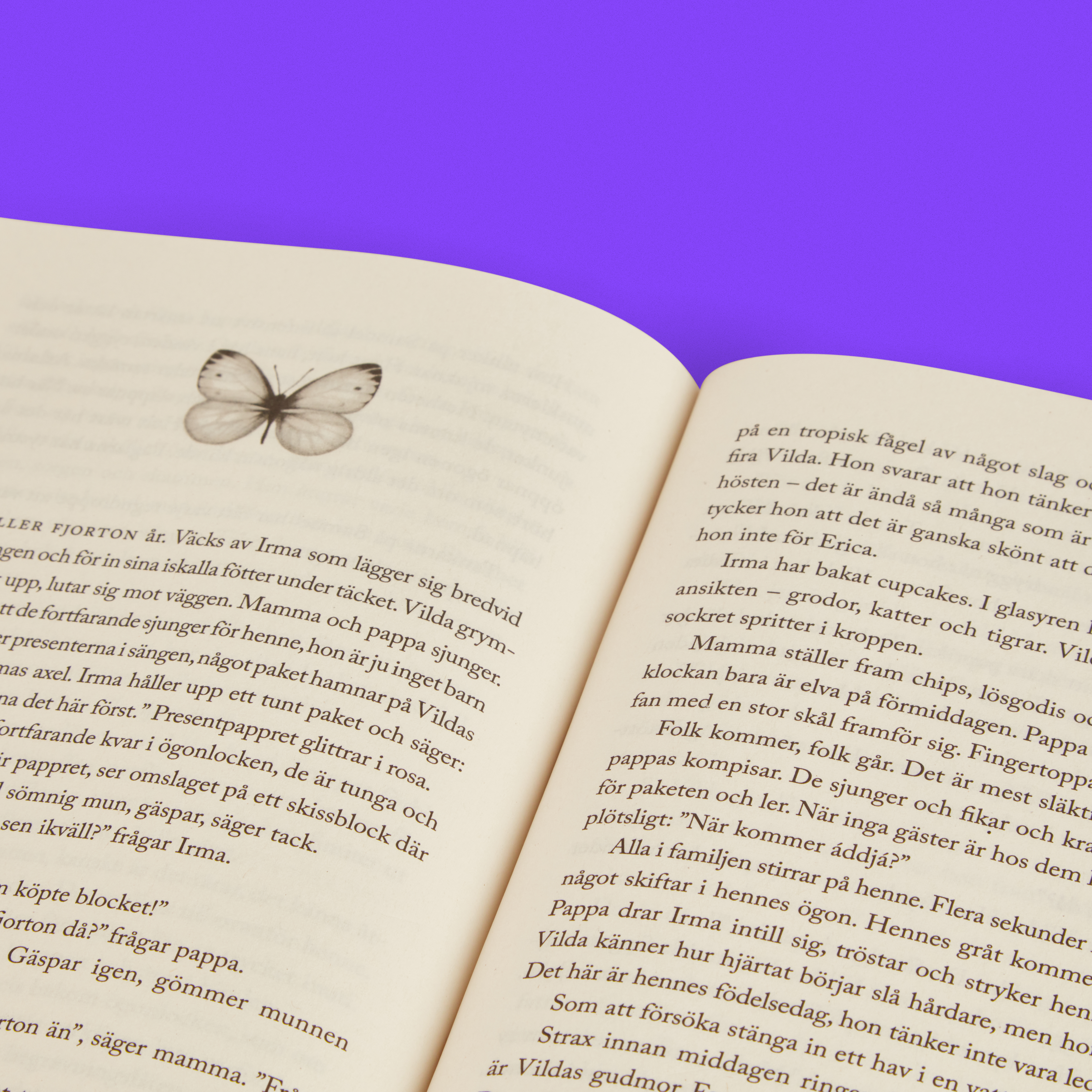 fjärilshjärtan_3 2.jpg