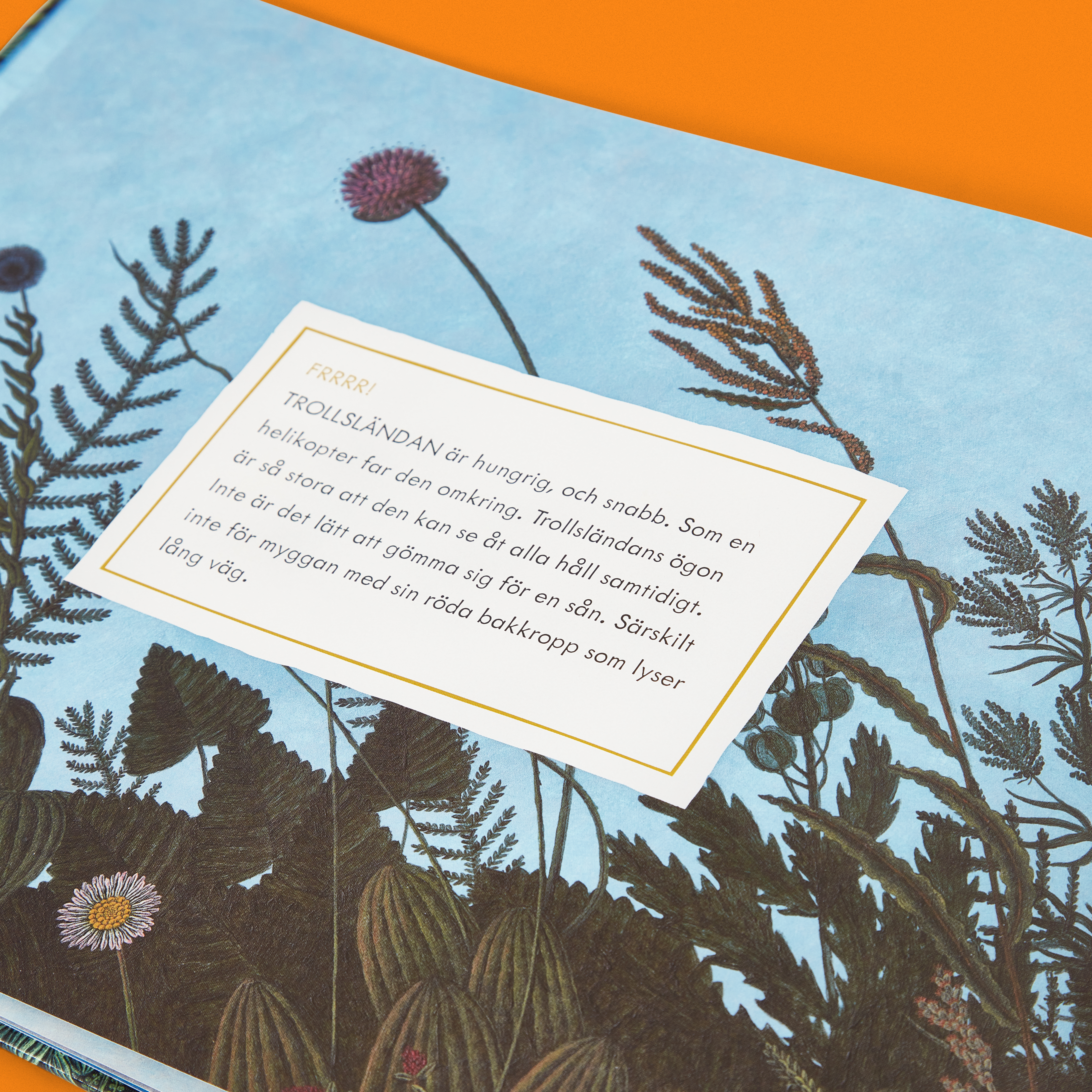 Alla_äter_alla_ 10.jpg