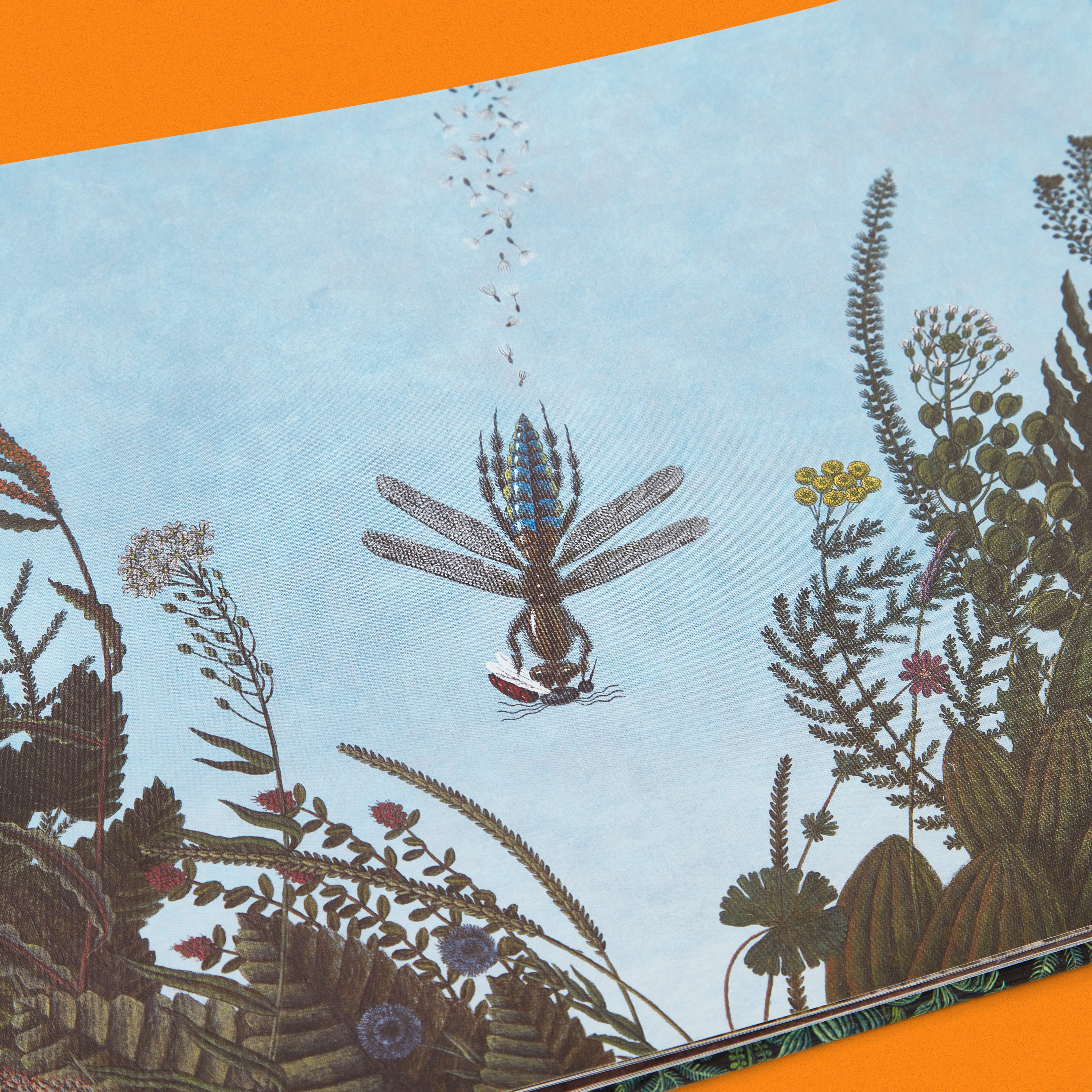 Alla_äter_alla_ 9.jpg